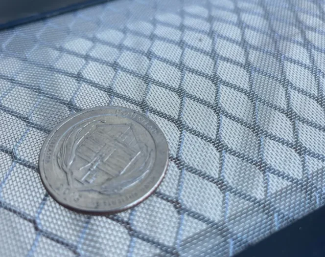 A Nebraska state quarter, dated 2006, lies on a gray metal screen with a dark frame.